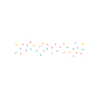 Confetti Sticker by Funfetti Fiesta