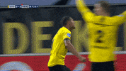GIF by FOX Sports