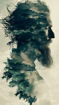 Art Illustration GIF