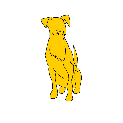 marceloperdido giphyupload dog GIF