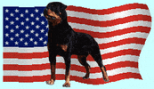 Independence Day Dogs GIF