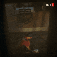 Valentines Day Love GIF by TRT