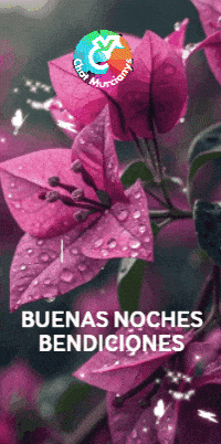 Tiene Para Ti GIF by Murcianys LLC