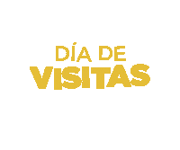 Life Casa Sticker by Gardensdesarrollosinmobiliarios