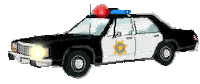 Car Police Sticker