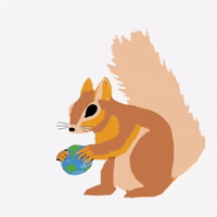 In A Nutshell Squirrel GIF by Barbara Pozzi