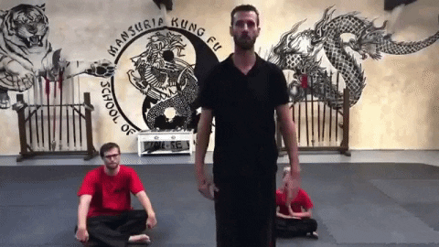 Buffys42 giphygifmaker respect salute martial arts GIF