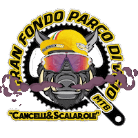 Parcodiveio Sticker by AsdFlaminiaBike