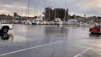 Santa Cruz Harbor Flooded During Tsunami Advisory for Coastal California