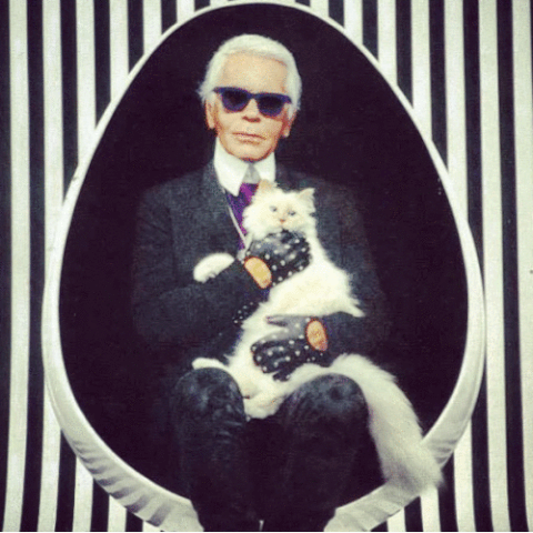 karl lagerfeld GIF