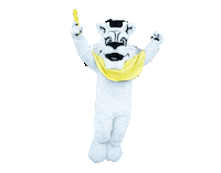 tico ticomia Sticker by Agência Buzz.me