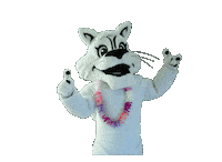 Tico Sticker by Ticomia Formaturas