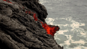 symphony for our world GIF by Nat Geo Wild 