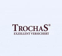 Dortmund Horde GIF by TrochaS