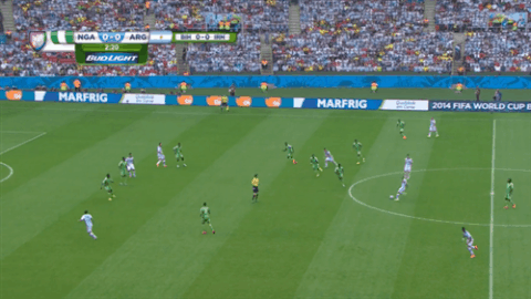 la albiceleste GIF