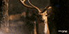 Bbc One Wildlife GIF by BBC
