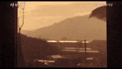 Korean Movies GIF