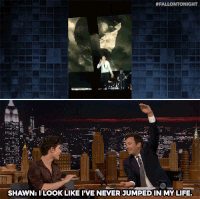 jimmy fallon lol GIF by The Tonight Show Starring Jimmy Fallon