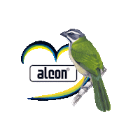 Alconcoracao Sticker by Alcon Pet Food