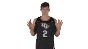 Charge On Ucf Basketball Sticker by UCF Knights