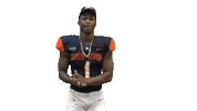 Whip Sticker by Carson-Newman Athletics