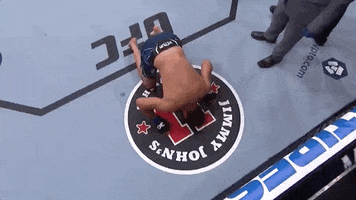 Sport GIF by UFC