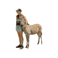 Horserescue Sticker by All Seated in a Barn