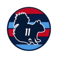 Julian Edelman Reaction Sticker by New England Patriots