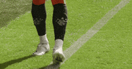 Gers GIF by Rangers Football Club