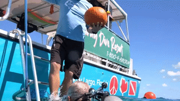 Florida Keys Divers Compete in Underwater Pumpkin Carving Contest for Halloween
