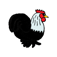 Chickens Sticker