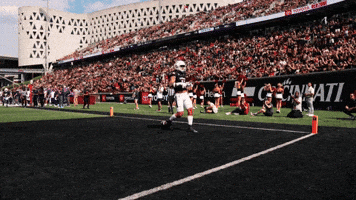 Cincinnati Football GIF by Cincinnati Bearcats