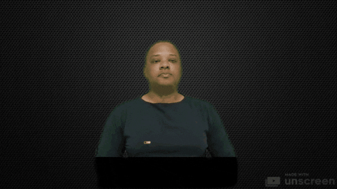 librassalvador giphyupload GIF