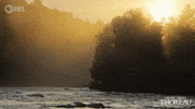Simplify Henry David Thoreau GIF by PBS