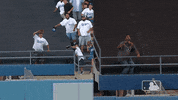 Major League Baseball Sport GIF by MLB