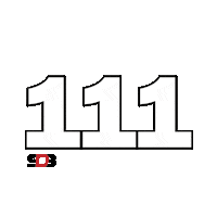 Peterson Pilotos Sticker by Super Drift Brasil