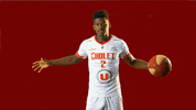 choletbasket sport basketball basket cb GIF