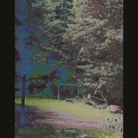GIF by Guillermo Anda