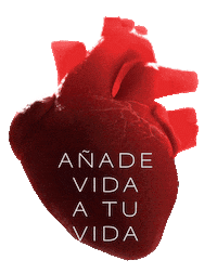 bachcarecardiovascular corazon wellness care salud Sticker