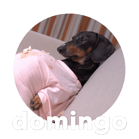 Sticker by Sealed With A GIF