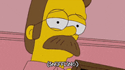 episode 12 GIF