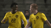 de bruyne belgium GIF by Sporza