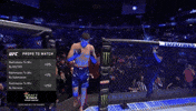 Sport GIF by UFC