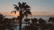 Beach Cabo GIF by Switzerfilm