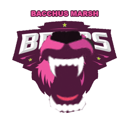 Bears Sticker by F45 Training Bacchus Marsh