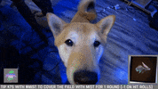 d&d awww GIF by Hyper RPG