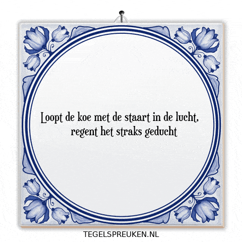 Humor Nl GIF by Tegelspreuken.nl