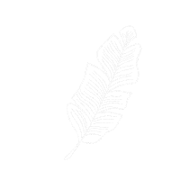 Flower Plant Sticker