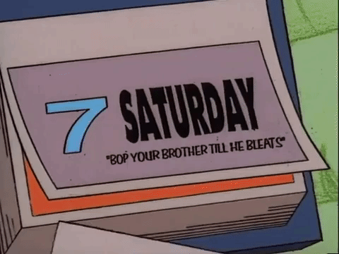 nickrewind giphydvr nicksplat angry beavers giphyab015 GIF
