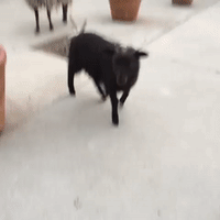 GIF by andymilonakis
